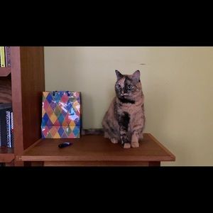 Meet your Posher, Jackie